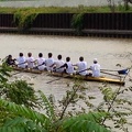 Men s 1st Novice 8 c